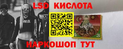 стаф Бузулук
