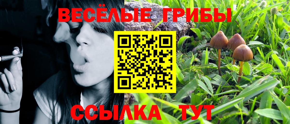 Екатеринбург  Псилоцибиновые грибы Psilocybe  как найти закладки  Вход с VPN 