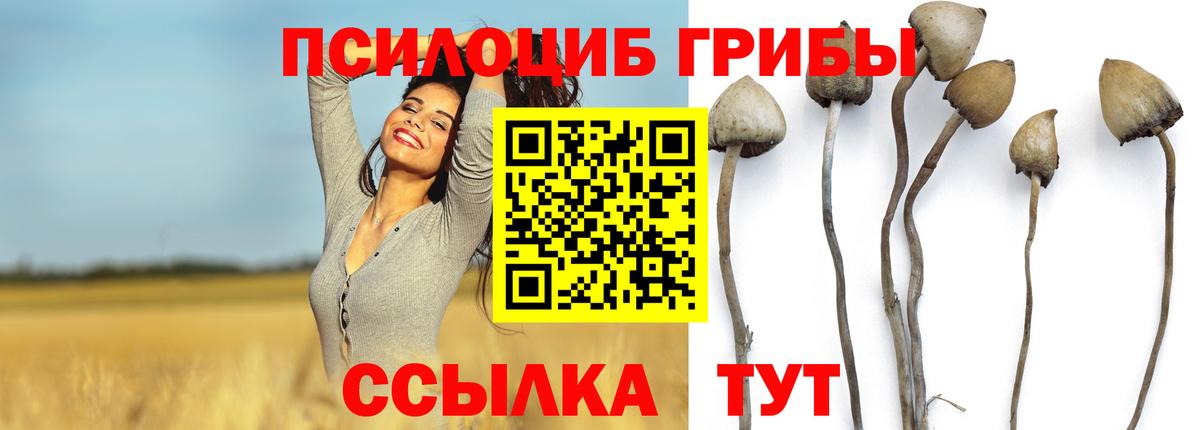 Галлюциногенные грибы мухоморы Екатеринбург
